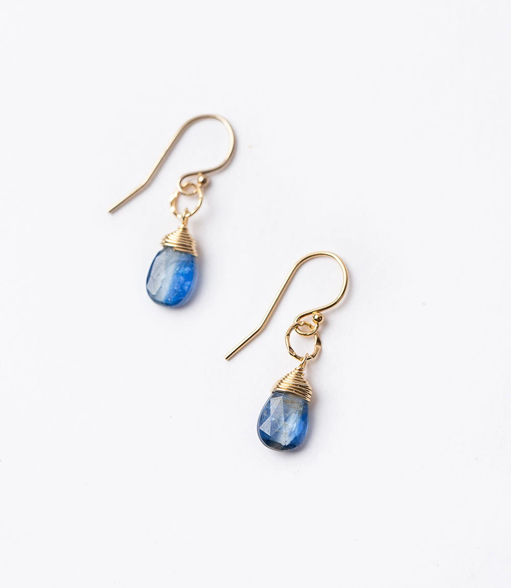 Kyanite Pendant Earrings Kyanite Pendant Earrings -Karen Kane E200013 GOL 1 1