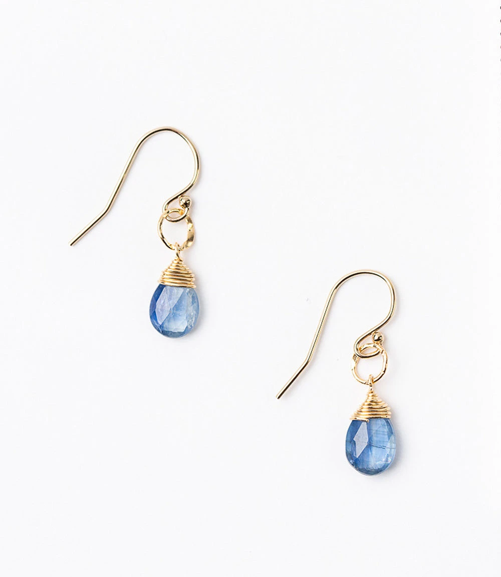 Kyanite Pendant Earrings Kyanite Pendant Earrings -Karen Kane E200013 GOL 2 1