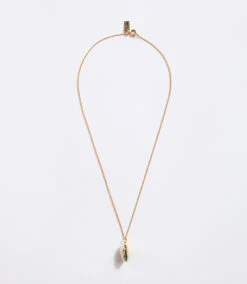 Shell Pendant Necklace 5 Shell Pendant Necklace -Karen Kane N200022 GOL 1